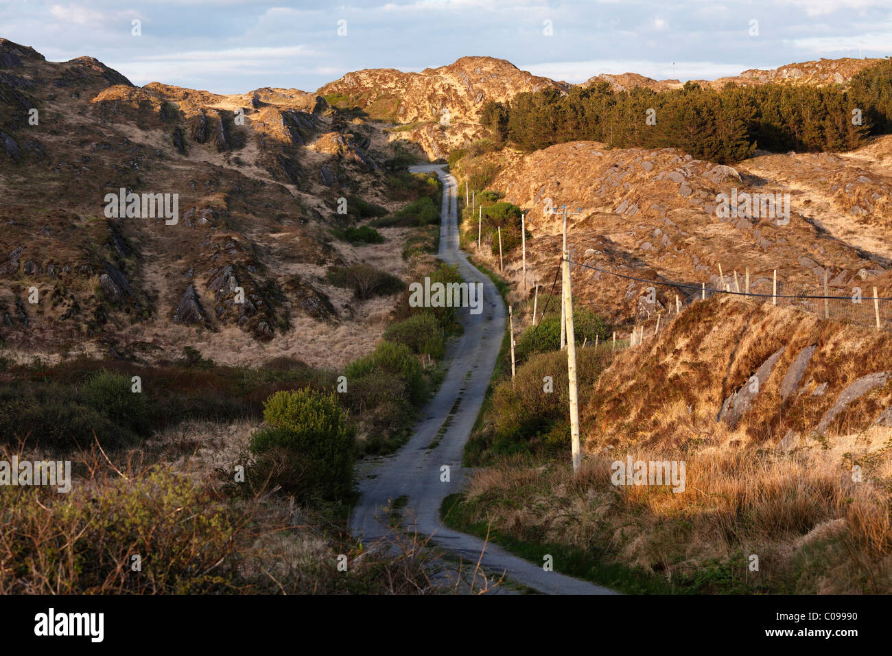 Petite route de campagne, Péninsule de Beara, Cork, République d'Irlande, British Isles, Europe Banque D'Images