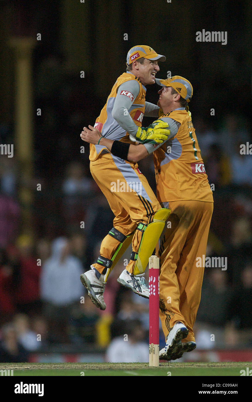 Australian wicket Keeper Brad Haddin célèbre le guichet de Nouvelle-zélande batteur James Franklin Banque D'Images