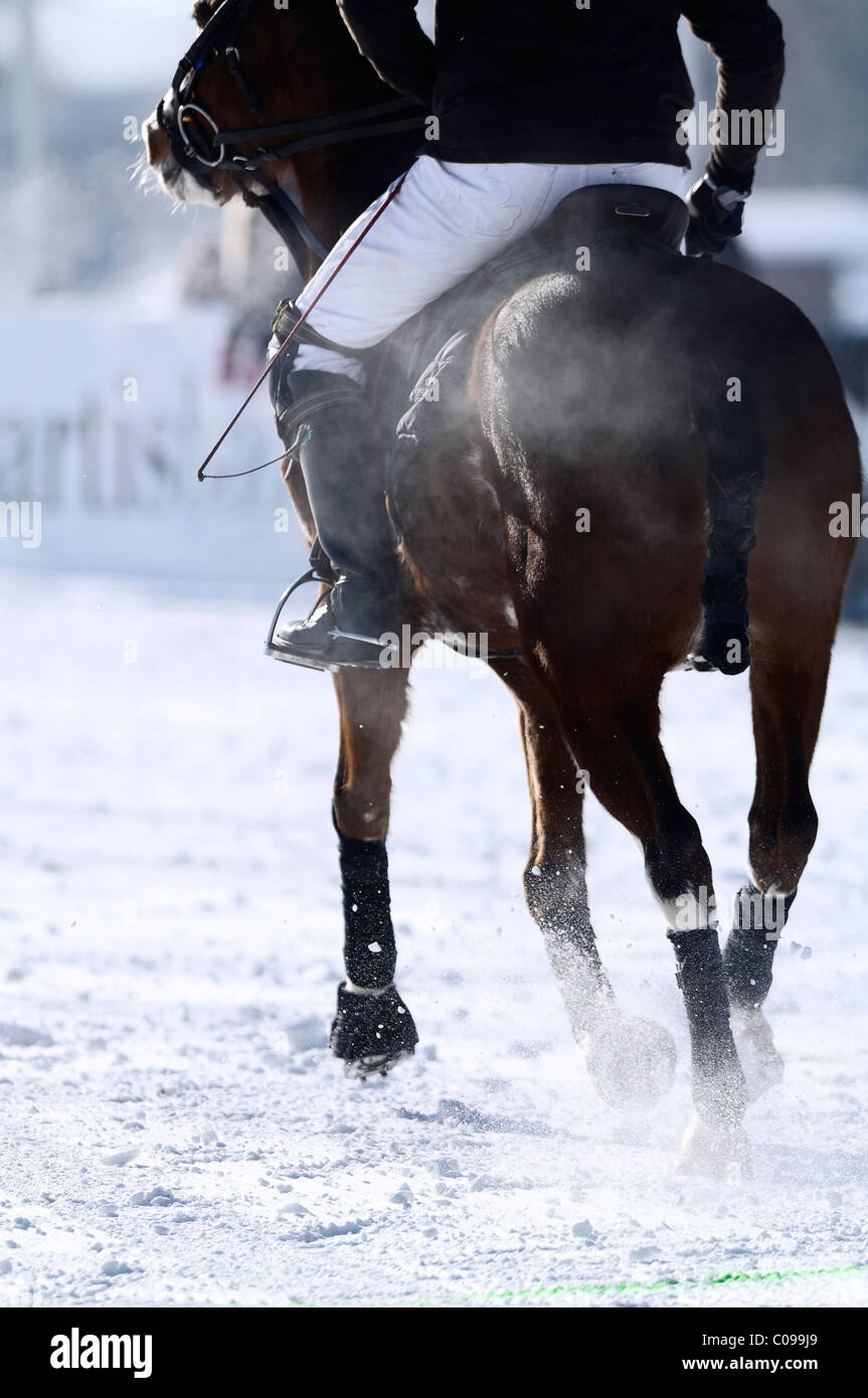 Joueur de Polo équitation son cheval, Snow Arena Polo World Cup 2010 tournoi de polo, Kitzbühel, Tyrol, Autriche, Europe Banque D'Images