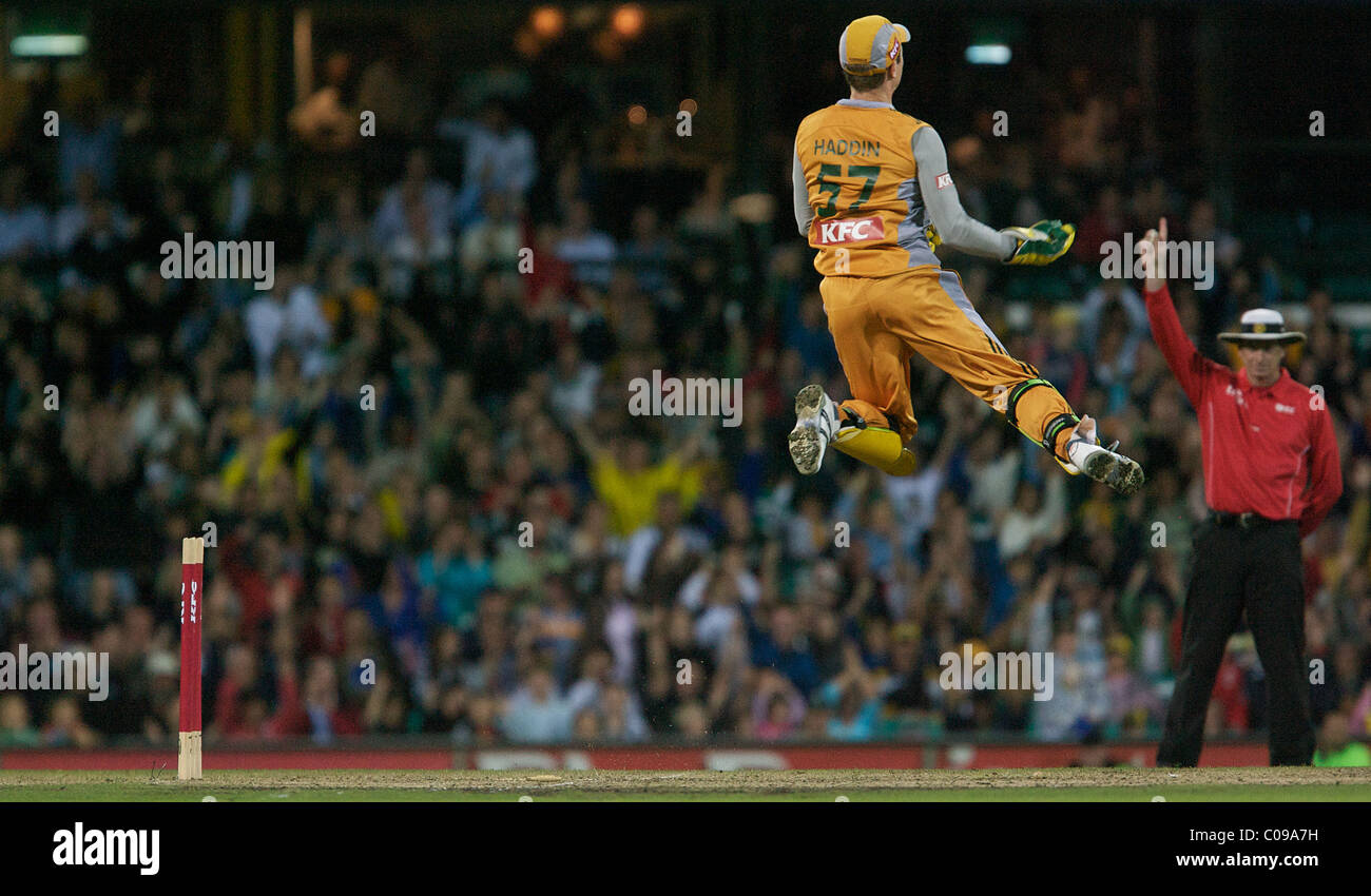 Australian wicket Keeper Brad Haddin célèbre le guichet de Nouvelle-zélande batteur James Franklin Banque D'Images