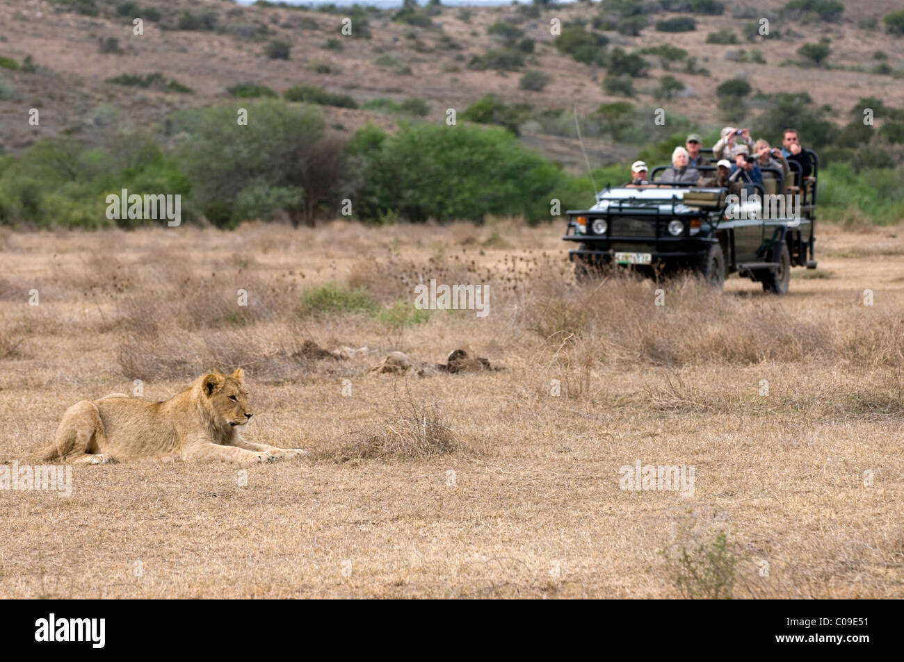 Les touristes dans un véhicule de safari, Kwandwe Game Reserve, Eastern Cape, Afrique du Sud Banque D'Images