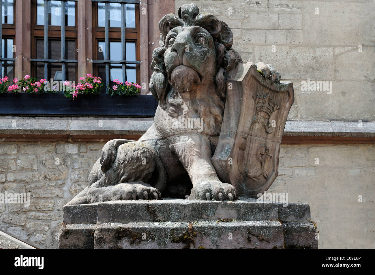 Lion en face de l'hôtel de ville médiéval, construit 1369-1444, Markt 9, Göttingen, Basse-Saxe, Allemagne, Europe Banque D'Images