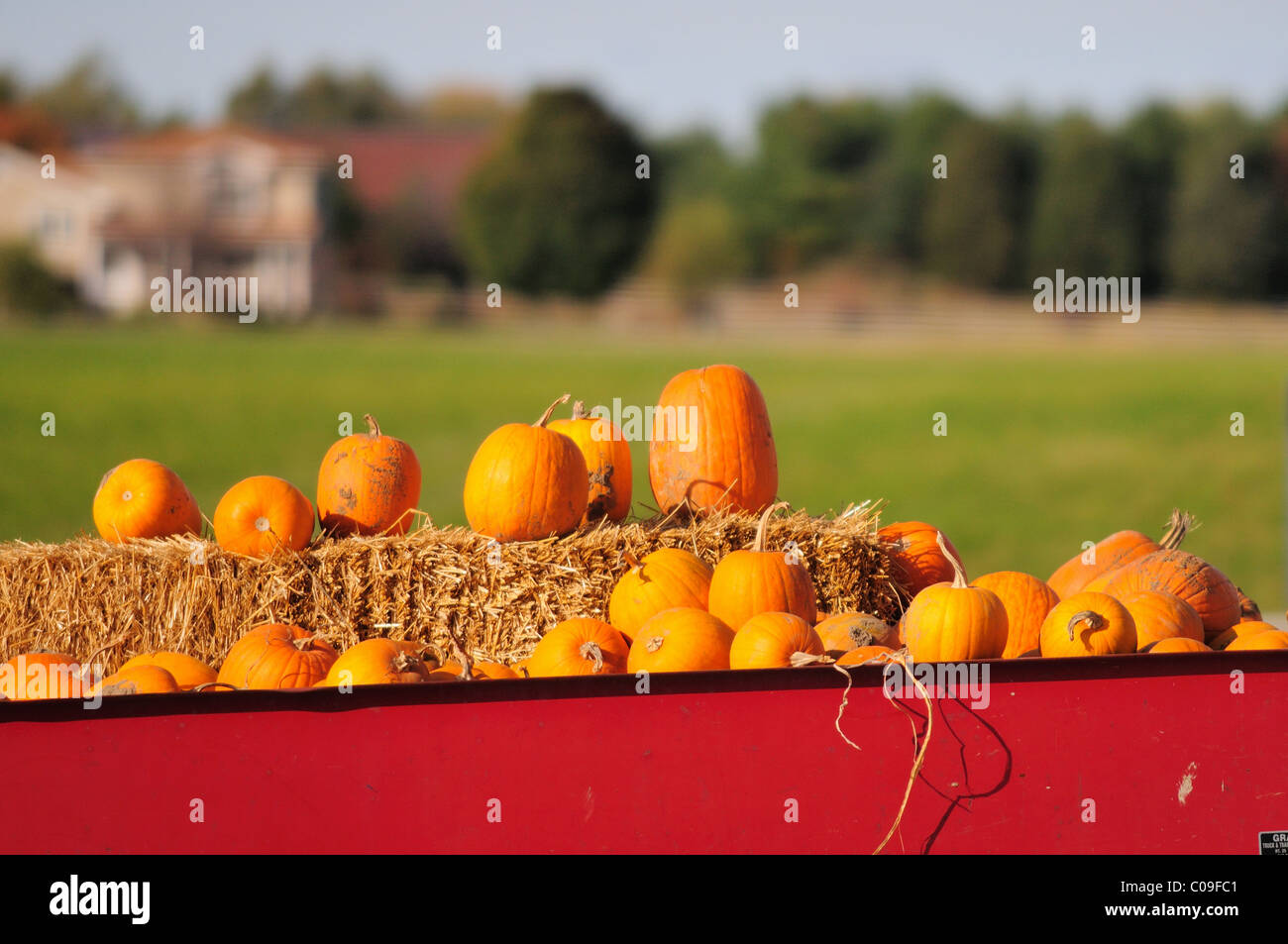 Citrouilles récoltées s'asseoir dans une charrette de foin et la forme d'un contrôle routier farm stand pour l'Halloween dans Platon Center, Illinois, États-Unis. Banque D'Images