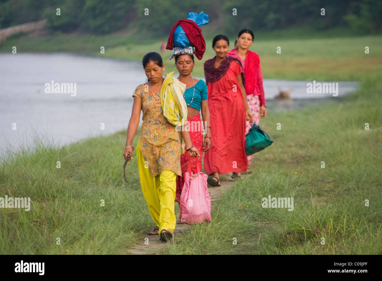Les femmes au travail à pied dans le parc national Royal de Chitwan, au Népal. Banque D'Images