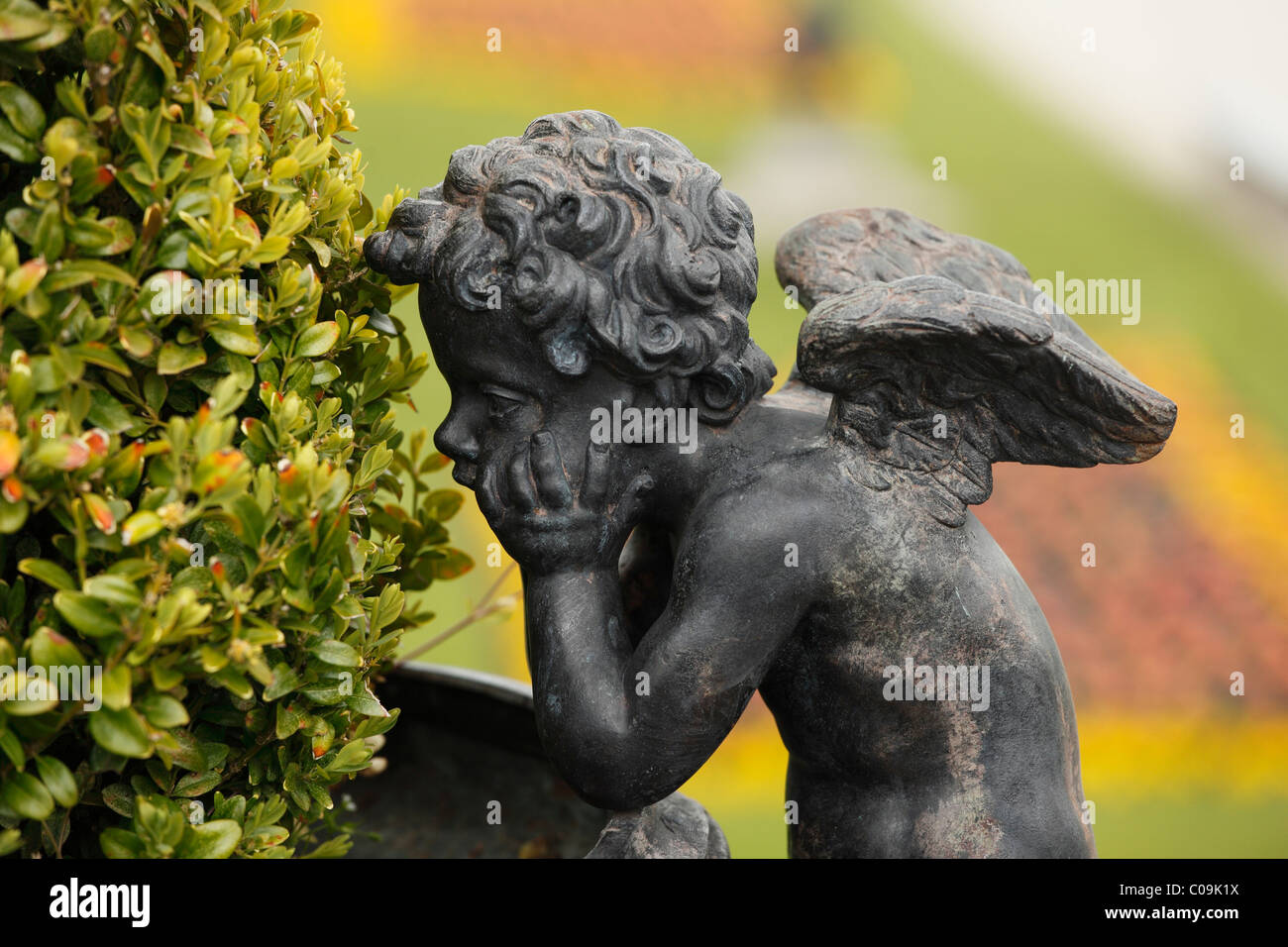 Putto, Powerscourt Garden, jardin de Powerscourt House, comté de Wicklow, Irlande, British Isles, Europe Banque D'Images