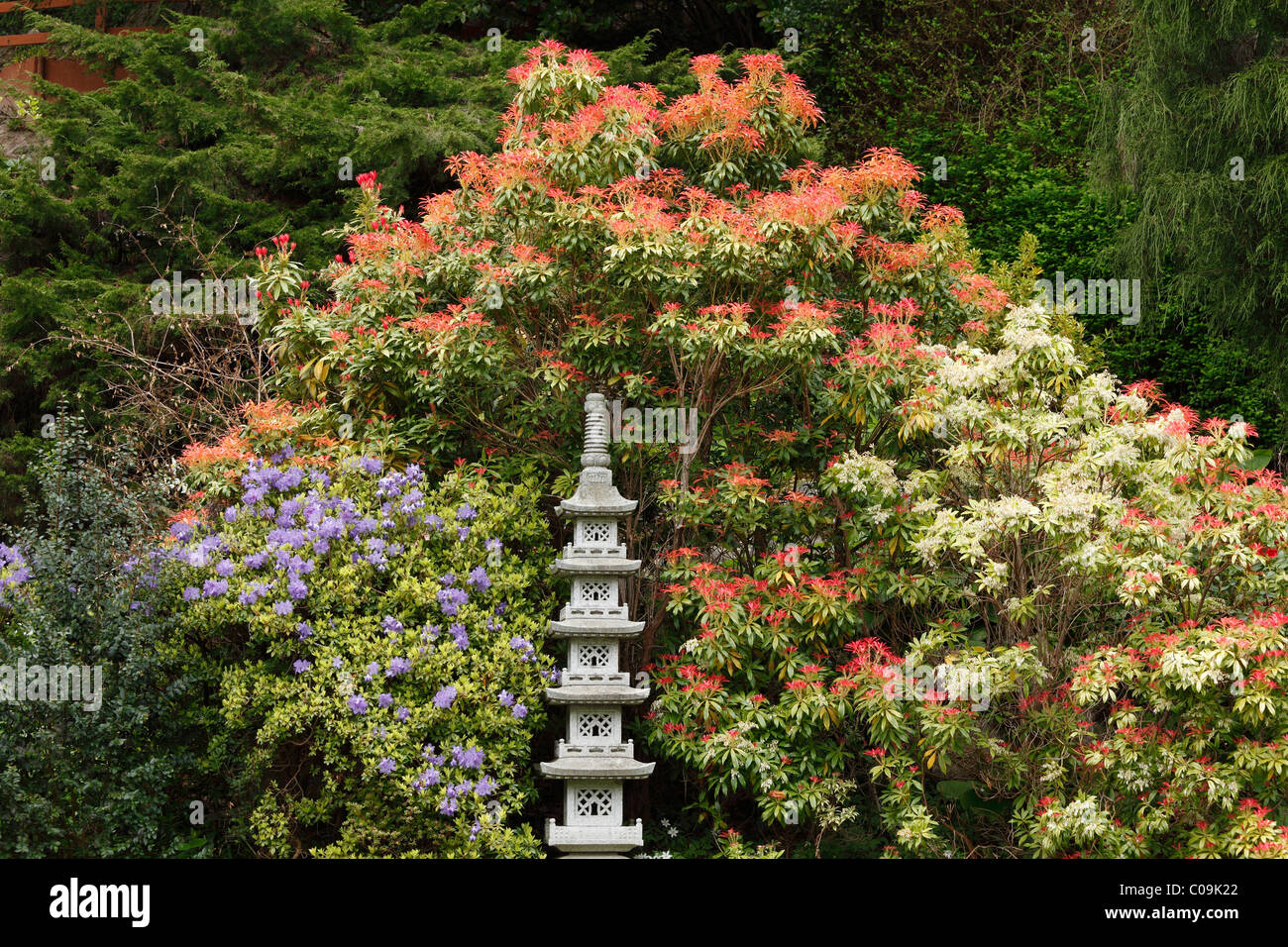 Jardin japonais, jardin, jardin de Powerscourt Powerscourt House, comté de Wicklow, Irlande, British Isles, Europe Banque D'Images