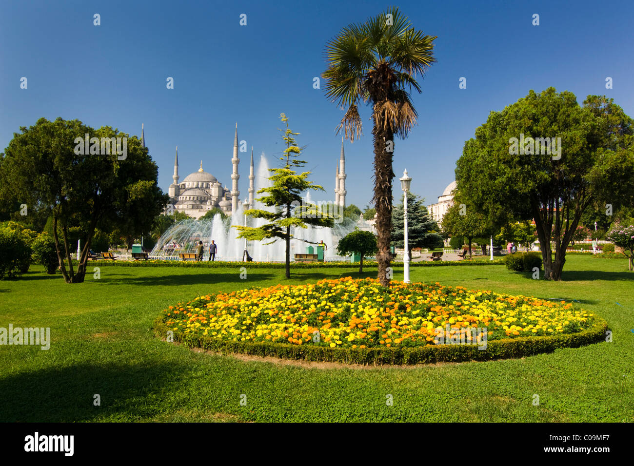 Mosquée Sultan Ahmed, Sultanahmet Camii ou Mosquée Bleue, Istanbul, Turquie Banque D'Images