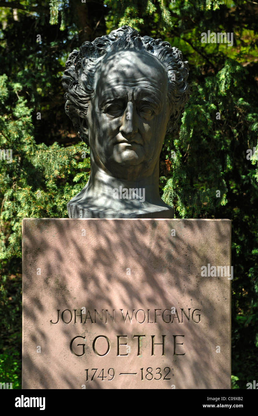 Monument de Johann Wolfgang Goethe, 1749-1832, par David d'Angers, 1829, jardins du château de Heidelberg, Heidelberg, Schlosshof Banque D'Images