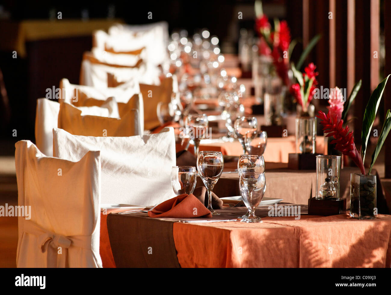 Table de fête, de chaises, de luxe Hôtel Anse Chastanet Resort, LCA, Sainte-Lucie, Saint Lucia, Island Îles du Vent Banque D'Images
