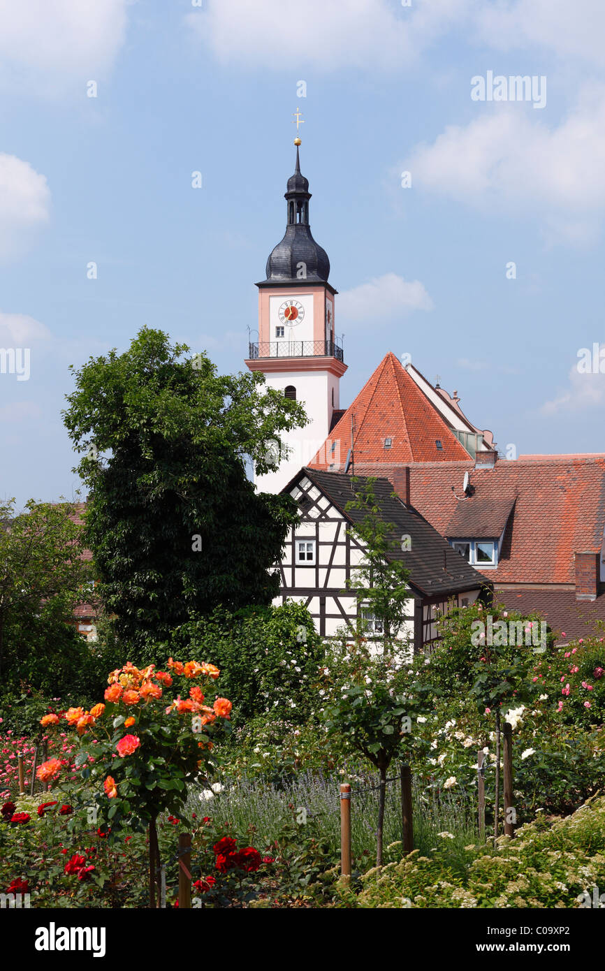 Eglise et jardin de roses, Hilpoltstein, Middle Franconia, Franconia, Bavaria, Germany, Europe Banque D'Images