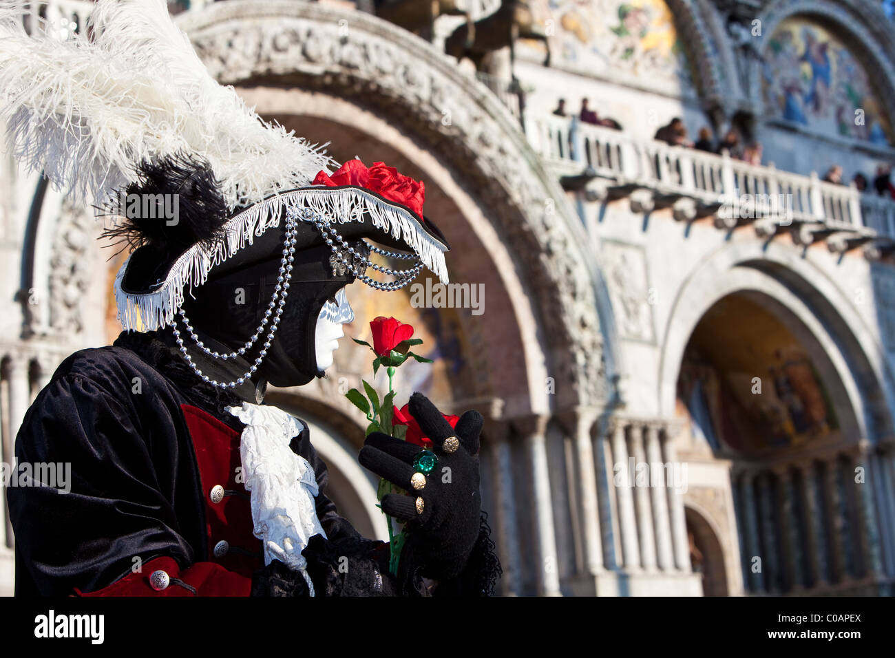 Personne en costume au Carnaval de Venise avec une rose rouge Banque D'Images