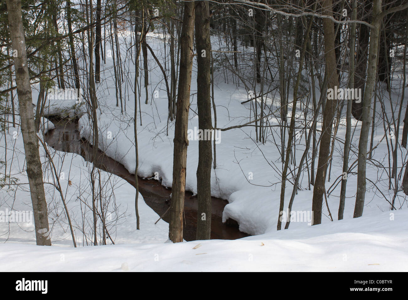 Paysage hivernal rural canadien Banque D'Images