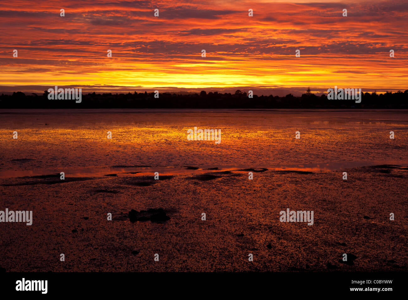 Le ciel est orange Tauranga dans un coucher de soleil d'automne. Banque D'Images