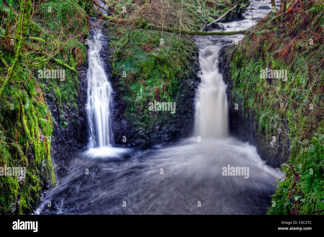 Une section de la cascade de Glenariff Glenariff Forest Park, Les Glens d'Antrim, en Irlande du Nord. Banque D'Images