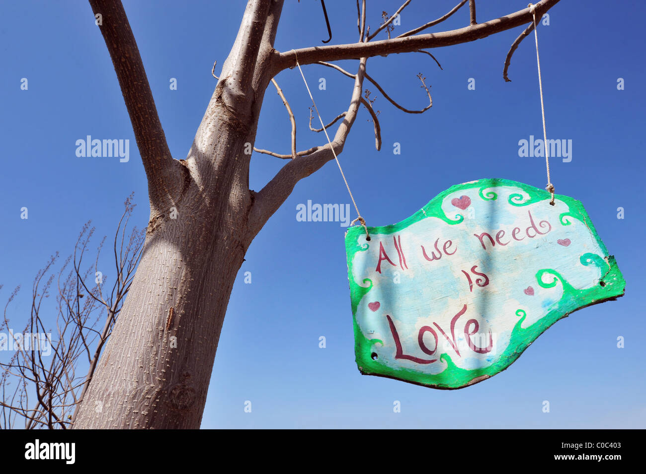 Tous nous avons besoin est amour sign d'un arbre Banque D'Images