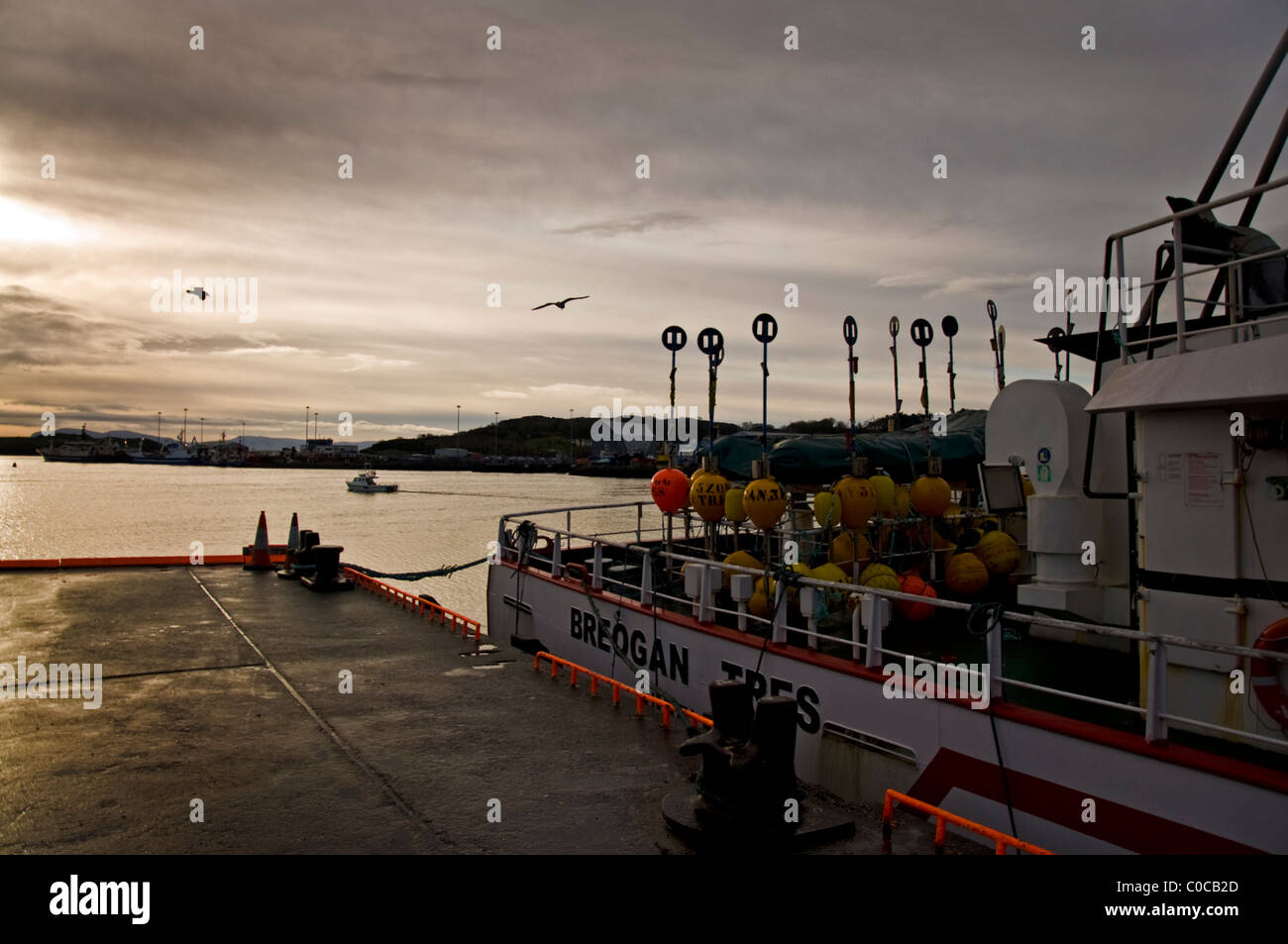 Bateau de pêche espagnol au port de Killybegs à Donegal Irlande Banque D'Images