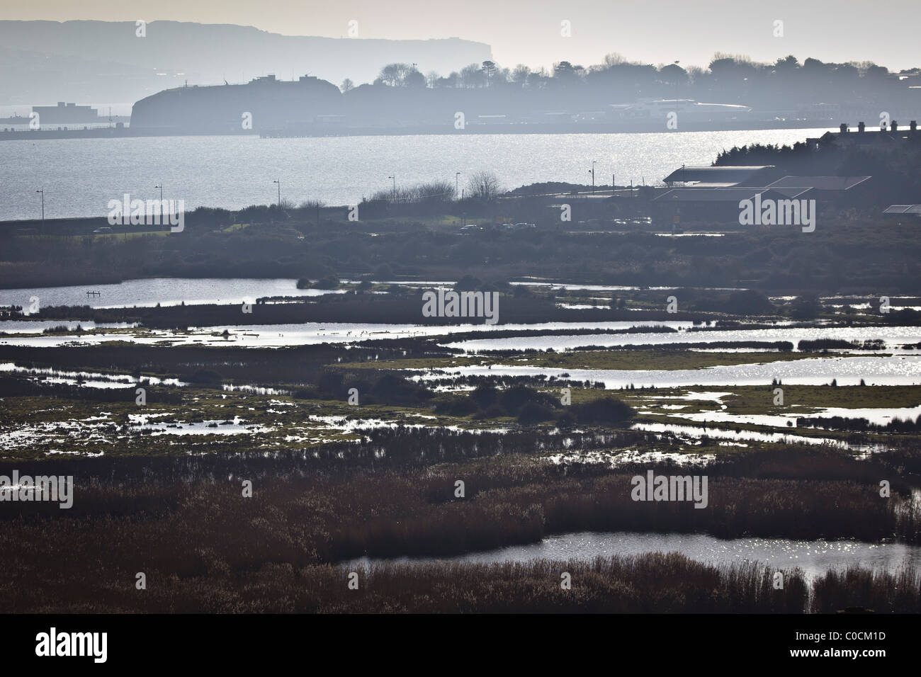 Terres humides aménagées de RSPB Lodmoor, Weymouth, Royaume-Uni. Banque D'Images