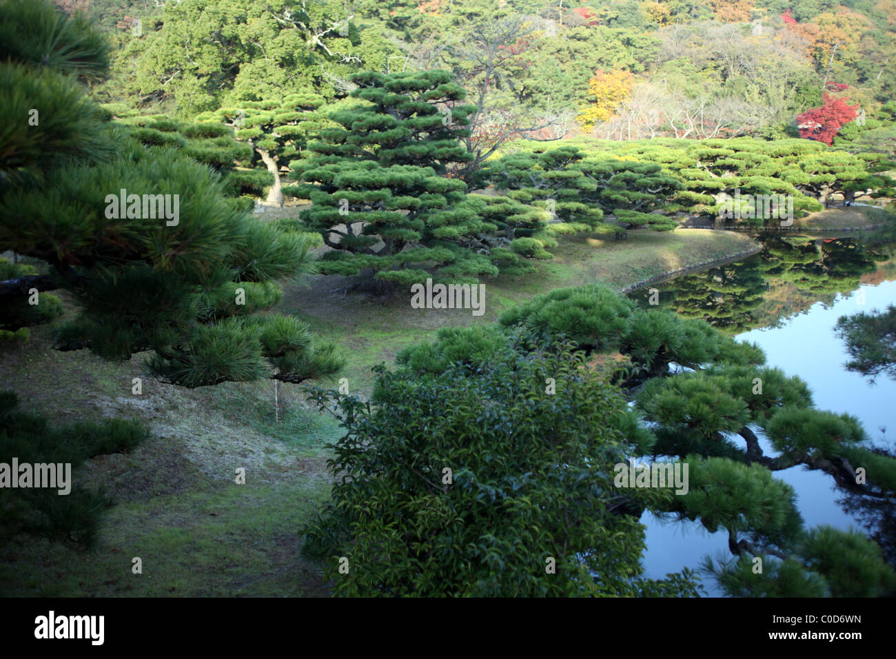Arbres et lac de Ritsurin Koen gardens, Shikoku, Takamatsu, Japon. Banque D'Images