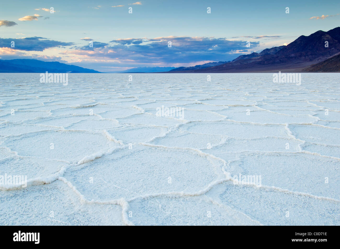 Les polygones de sel du bassin de Badwater pan à Death Valley National Park, California, USA Banque D'Images