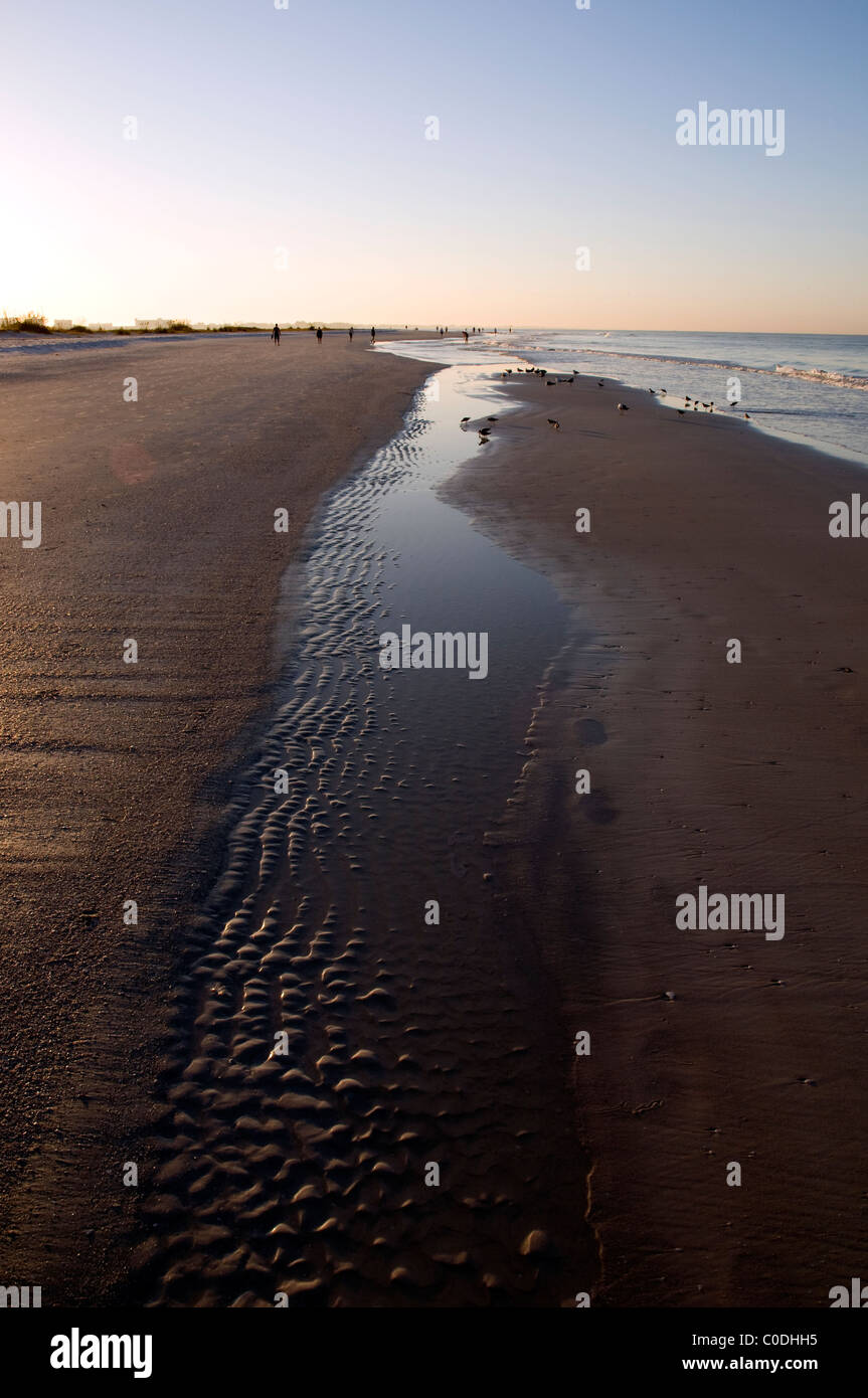 Dawn, Siesta Key Beach, Sarasota, Floride, États-Unis. Banque D'Images