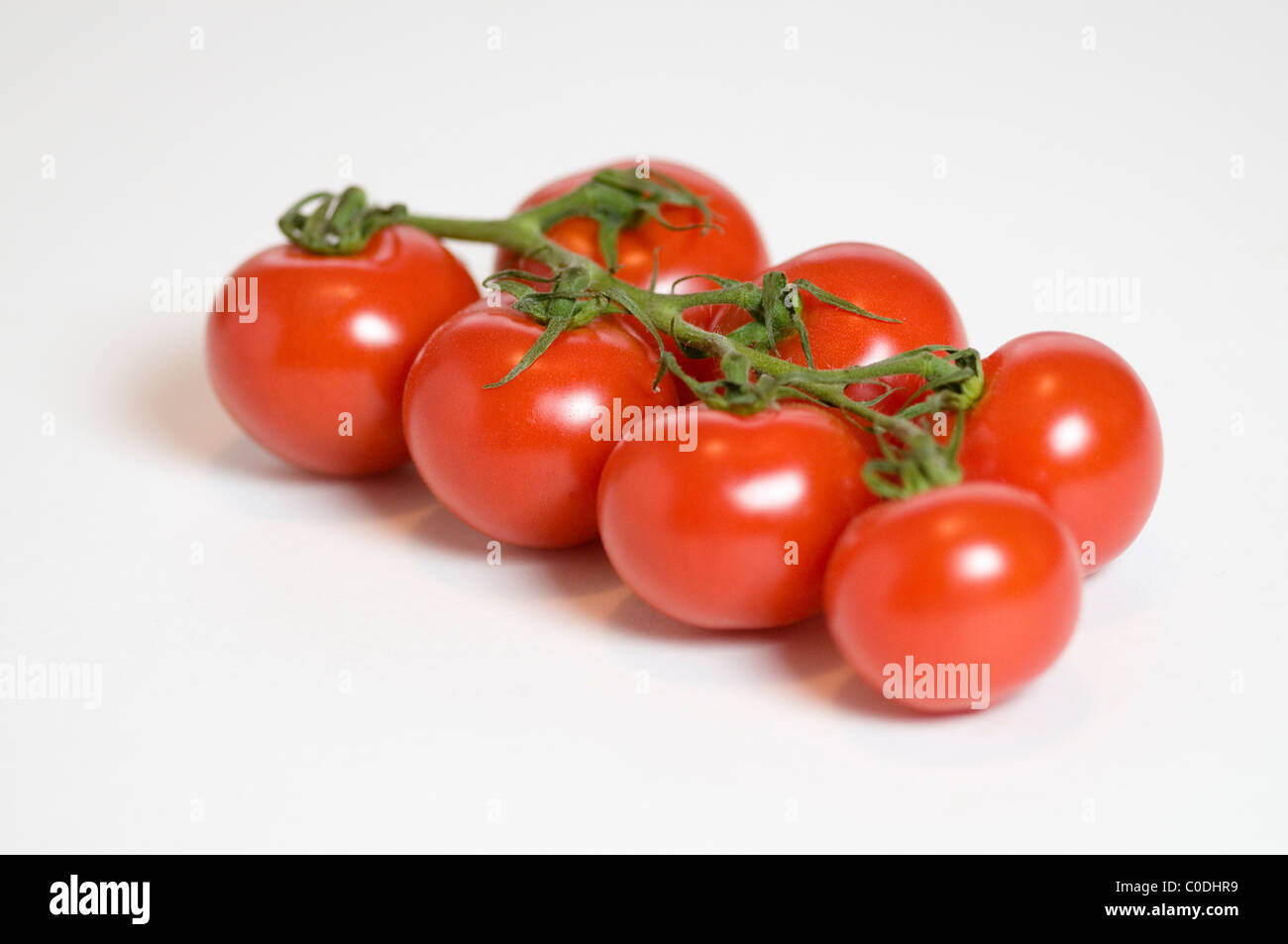 TOMATES DE VIGNE Banque D'Images