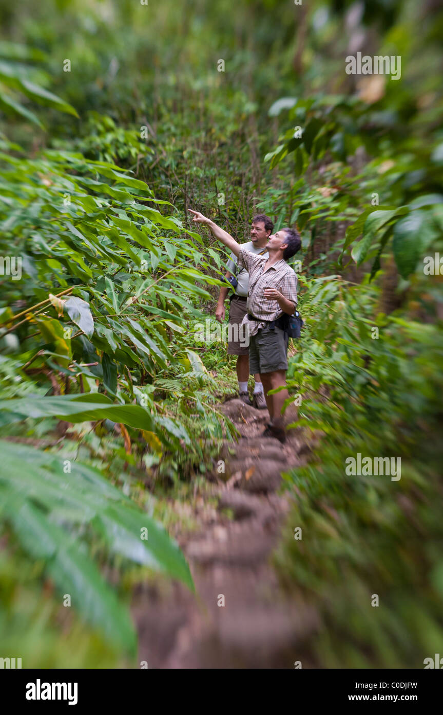 Deux hommes le Waihe'e Valley Trail randonnée pédestre avec Maui Eco-Adventures ; Maui, Hawaii. Banque D'Images