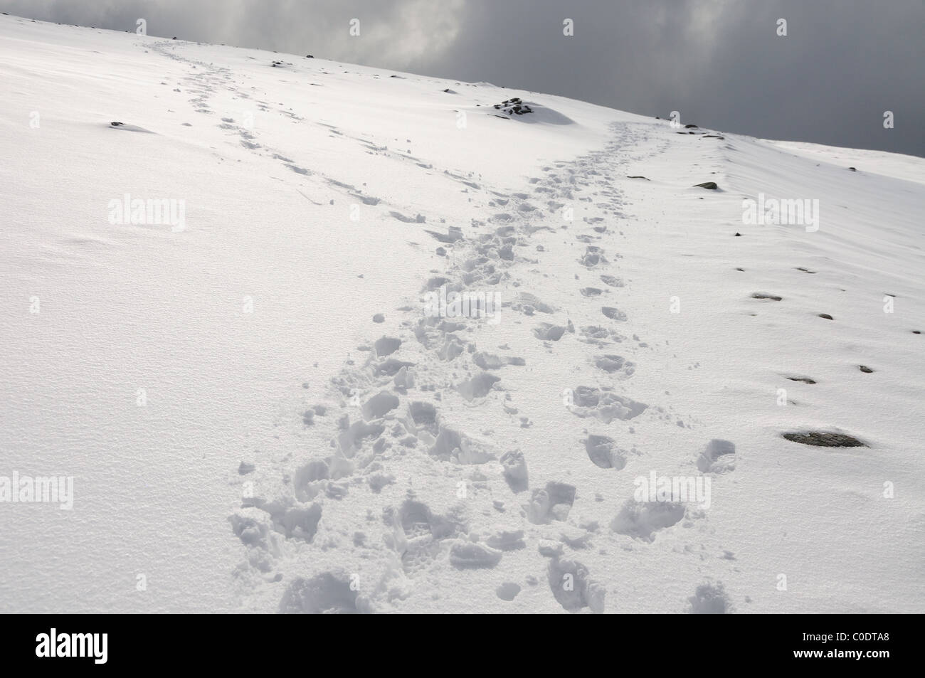 Des traces de pas dans la neige sur Helvellyn en hiver dans le Lake District Banque D'Images
