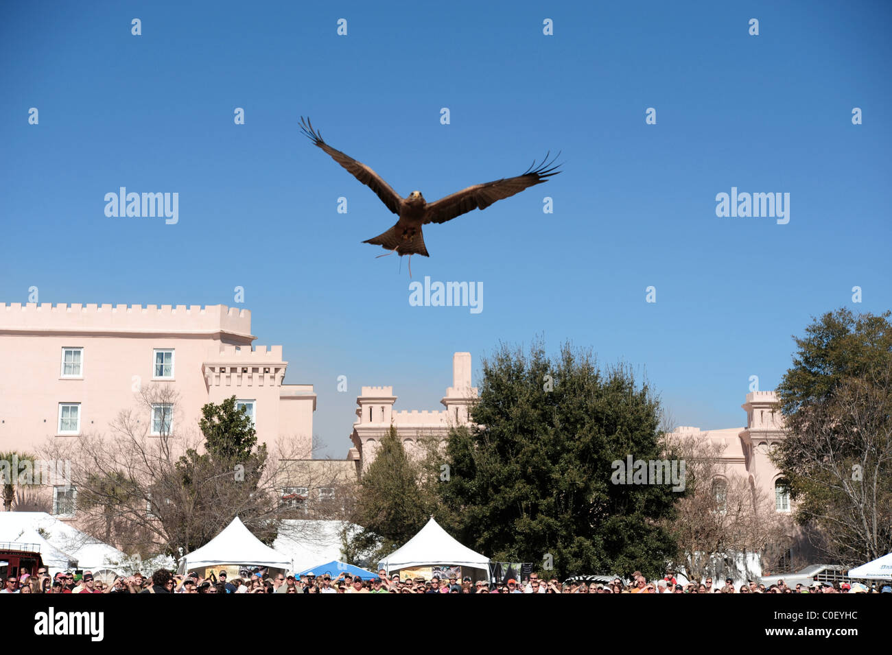 Aigle en vol au-dessus de spectateurs lors de la démonstration d'oiseaux de proie Banque D'Images