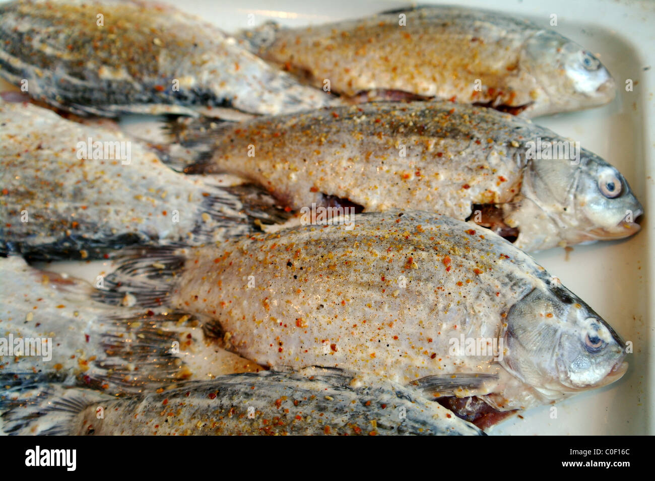 Le Carassin poisson brut sur le protwin, préparés à la poêle Banque D'Images