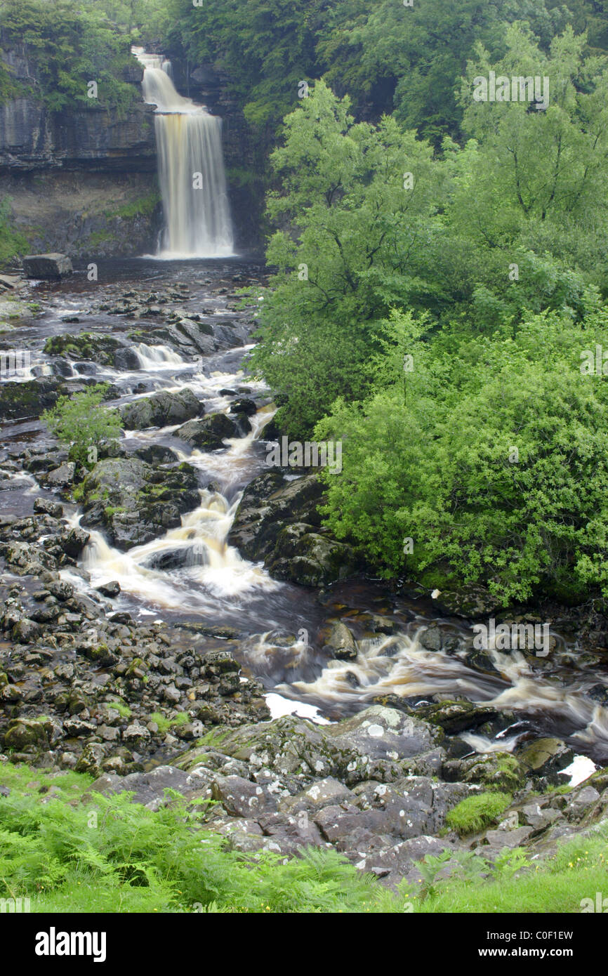 Thornton, Force Ingleton Falls, Ribblesdale, Yorkshire Dales National Park, Royaume-Uni Banque D'Images