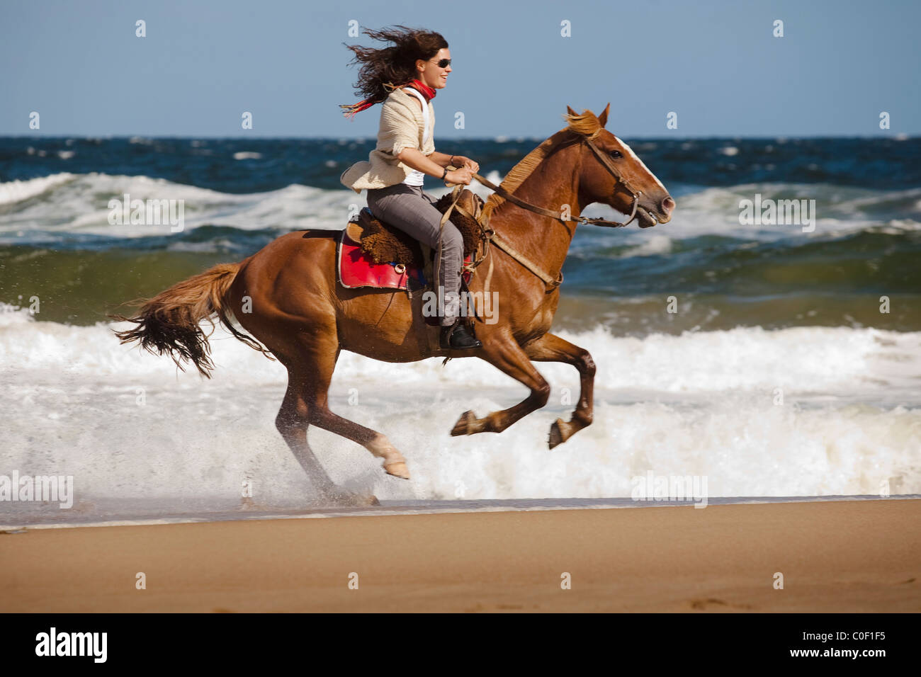 Une femme monte un cheval à la plage de Punta del Este, Uruguay. Banque D'Images
