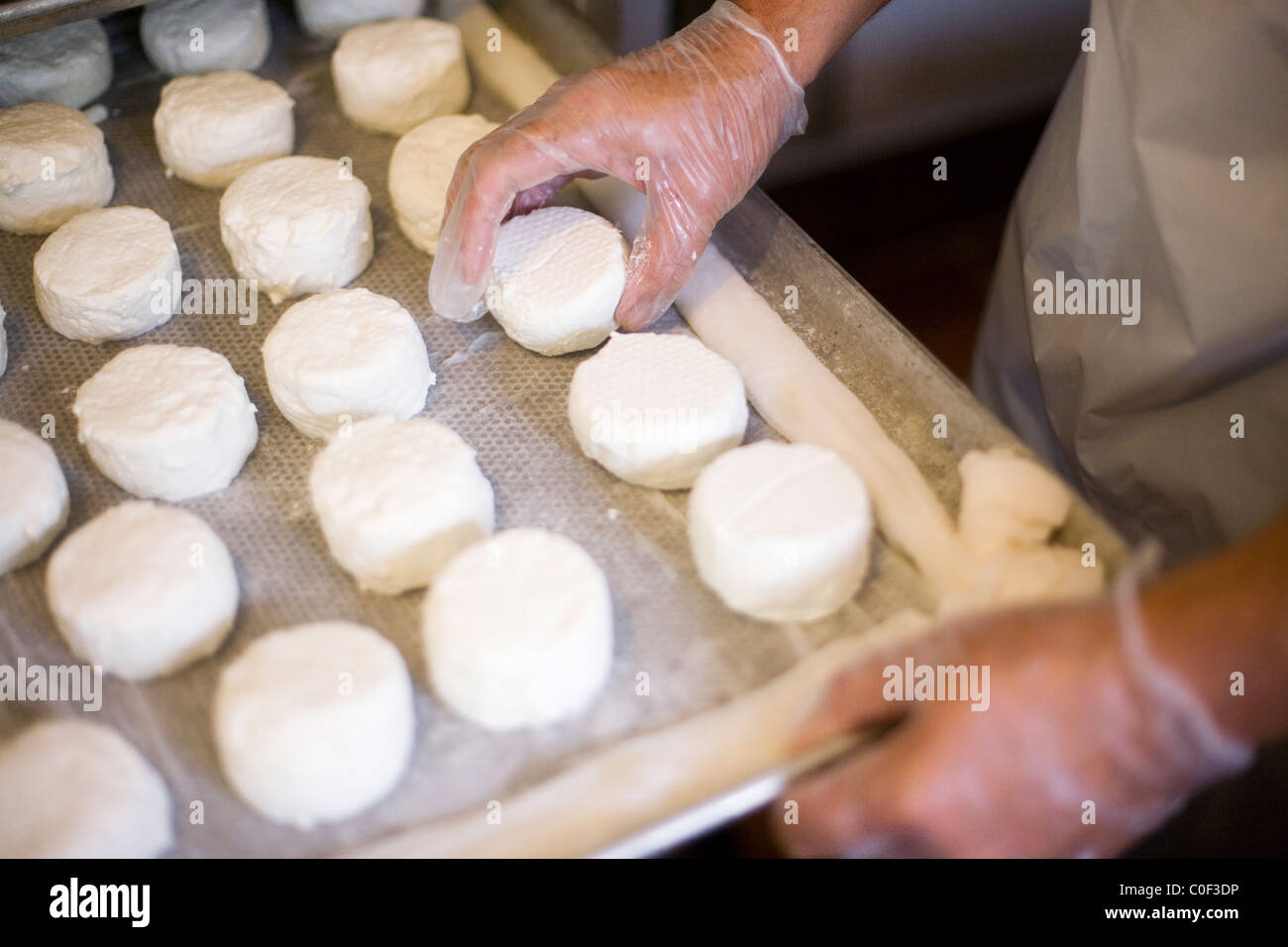 Le fromage de chèvre sur un plateau prêt pour le mûrissement au Liban, dans le Connecticut. Banque D'Images