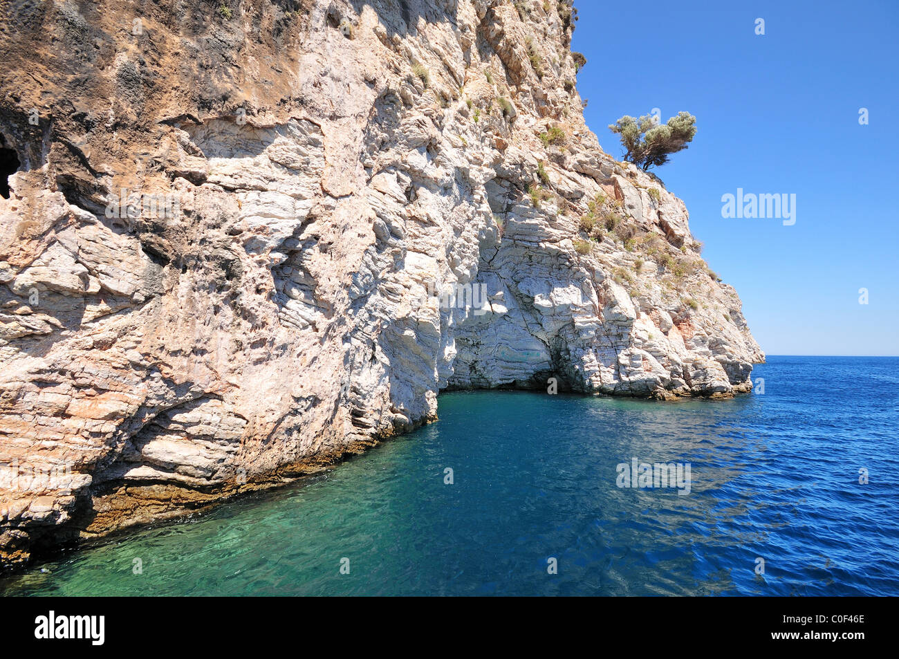 D'une falaise avec un arbre solitaire, sur la mer Egée, la Turquie, l'Europe du sud Banque D'Images