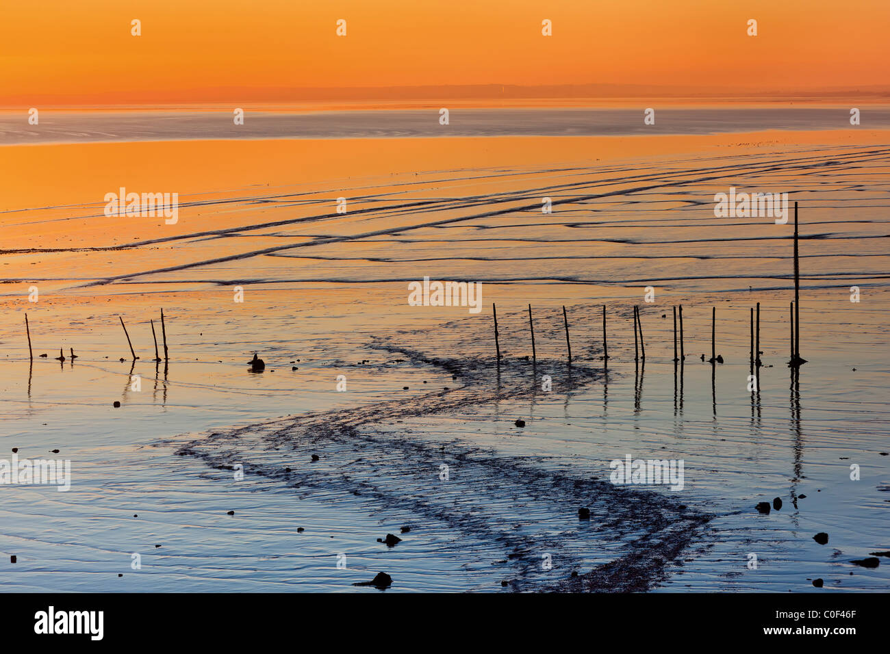 Coucher de soleil sur la plage et les vasières à Goldcliff près de Newport Gwent Wales UK Banque D'Images