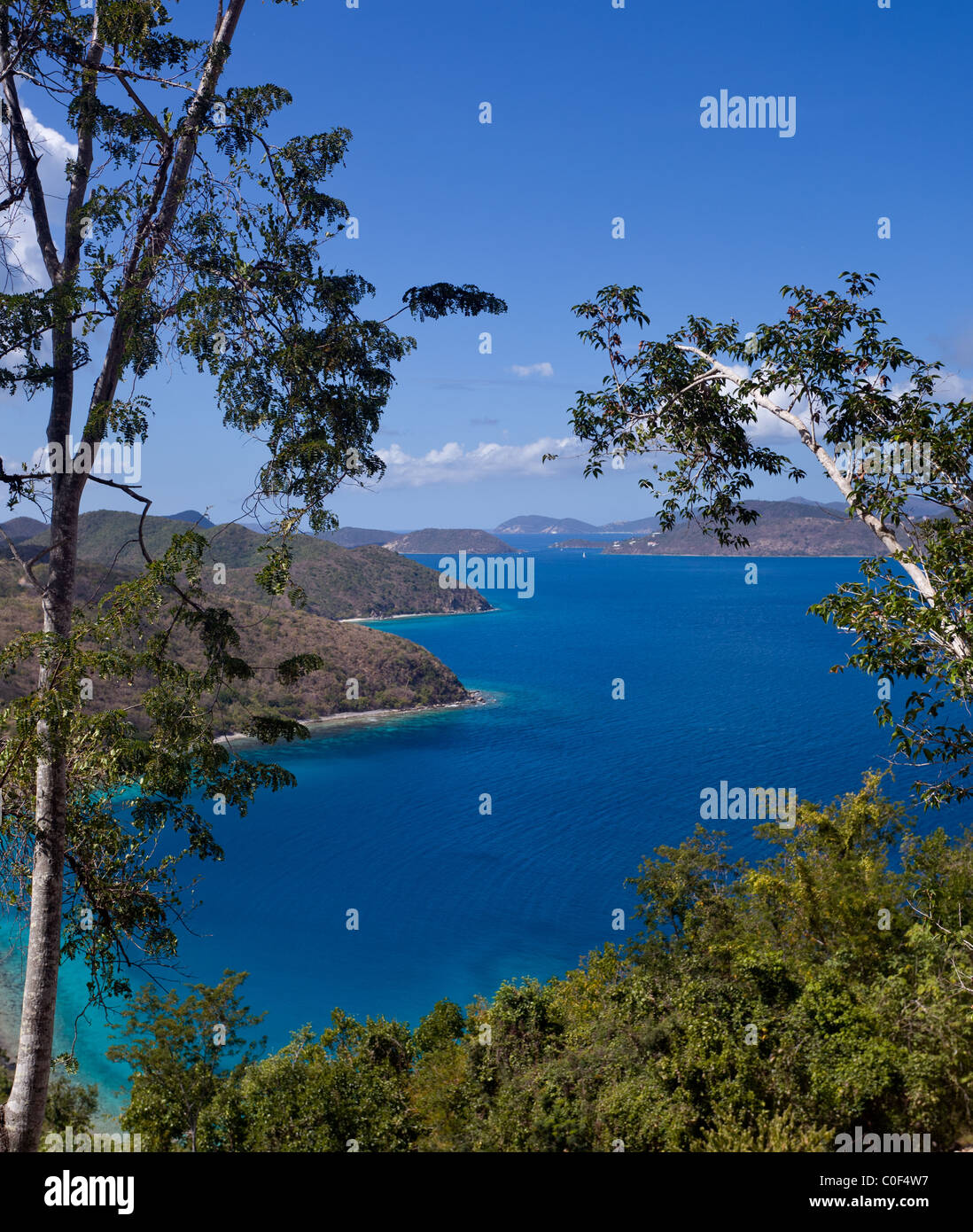 Vue le long de la côte du parc national sur l'île des Caraïbes de St John dans les îles Vierges américaines Banque D'Images