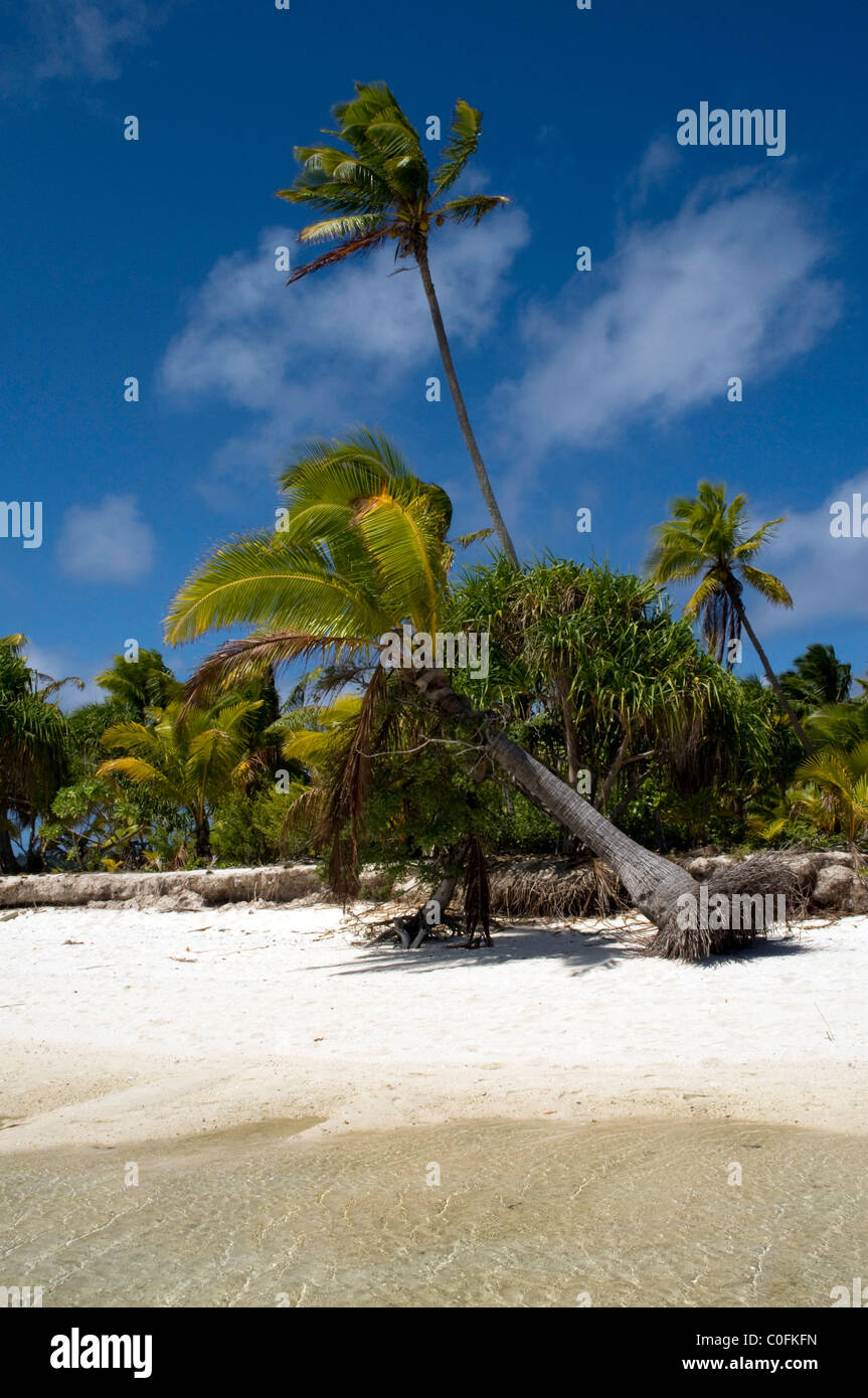 La claire et vert lagon de l'atoll de Aitutaki est l'un des plus pittoresques sites touristiques de l'Océan Pacifique Banque D'Images