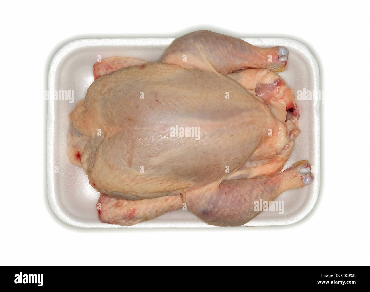 Poulet brut avec plateau sur fond blanc Banque D'Images