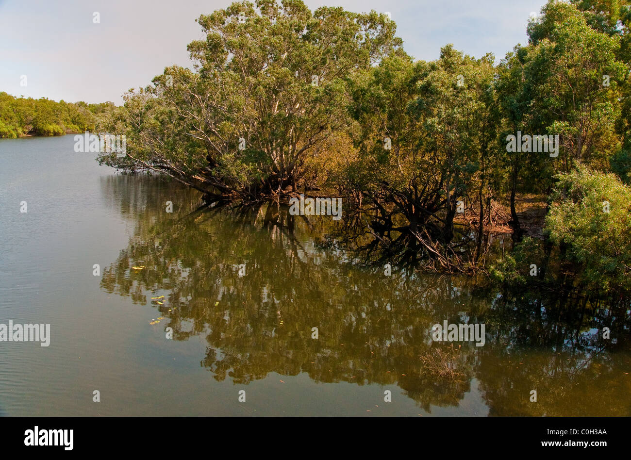 Grande rivière dans l'outback australien, territoire du nord Banque D'Images