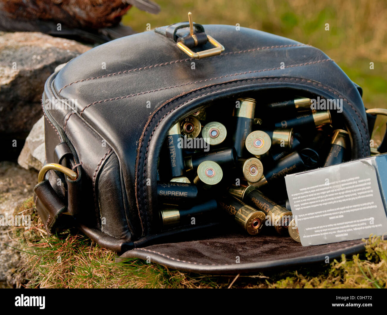 L'alésage de 12 cartouches de fusil de chasse dans un cartouche de cuir sac sur une journée de tournage de tétras Banque D'Images