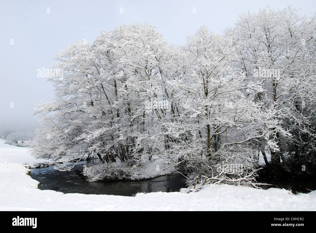 Les arbres givrés à côté d'une rivière dans une vallée de la neige, Devon, UK Banque D'Images