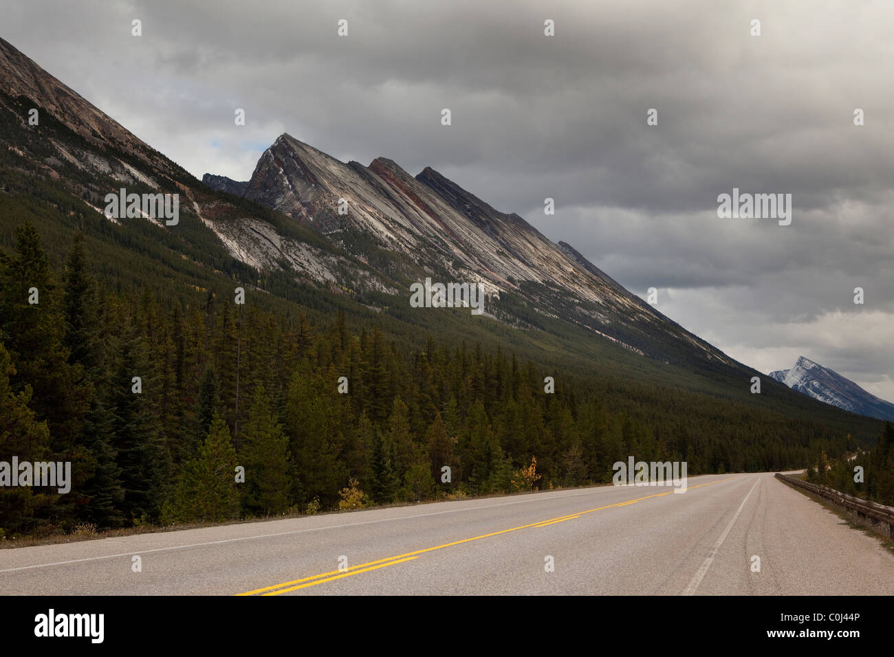 L'autoroute 93, Promenade des glaciers dans le parc national Jasper, Alberta, Canada Banque D'Images