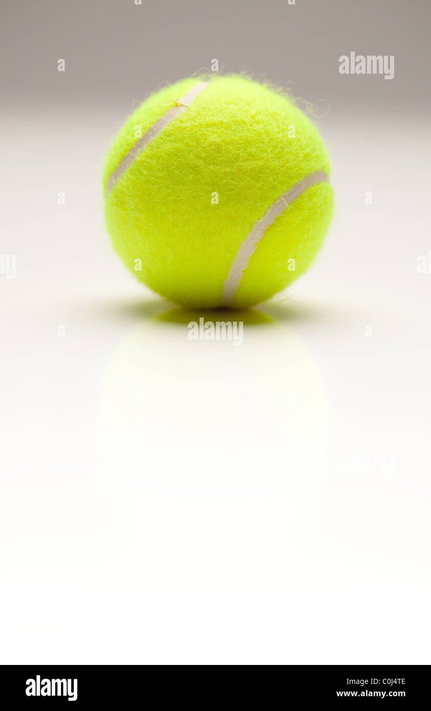 Seule balle de tennis avec une légère réflexion sur un arrière-plan gradués. Banque D'Images