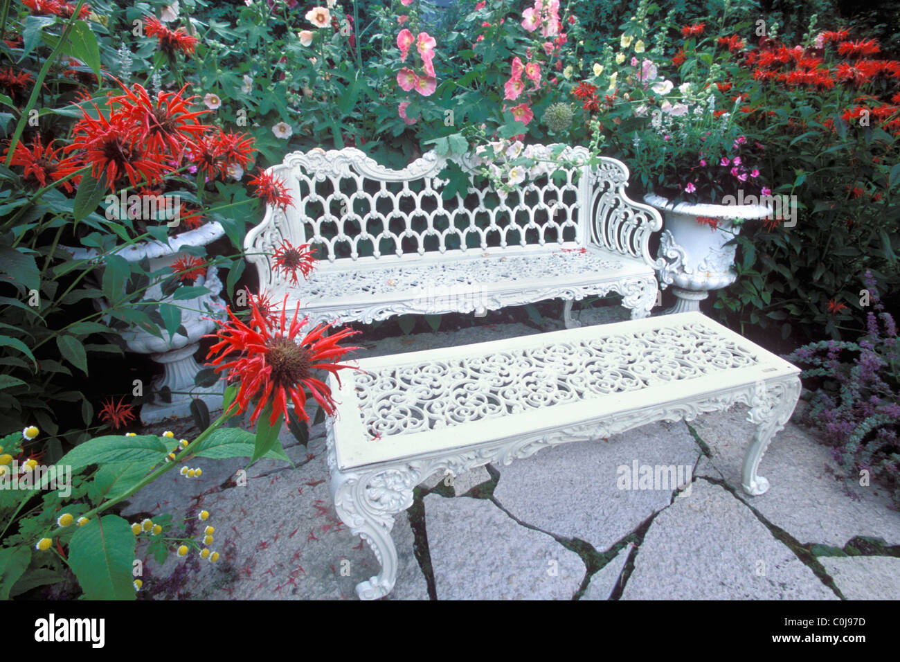 Roses TRÉMIÈRES ET MONARDE MONARDA ENTOURENT WHITE METAL MOBILIER DE JARDIN DANS UN JARDIN. PATIO dallé. L'été. Banque D'Images