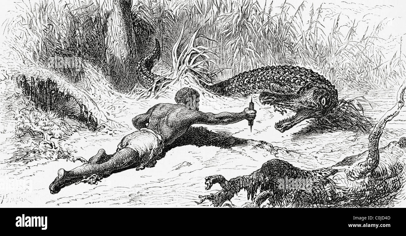 La chasse à l'Alligator 19e siècle en Colombie. Banque D'Images