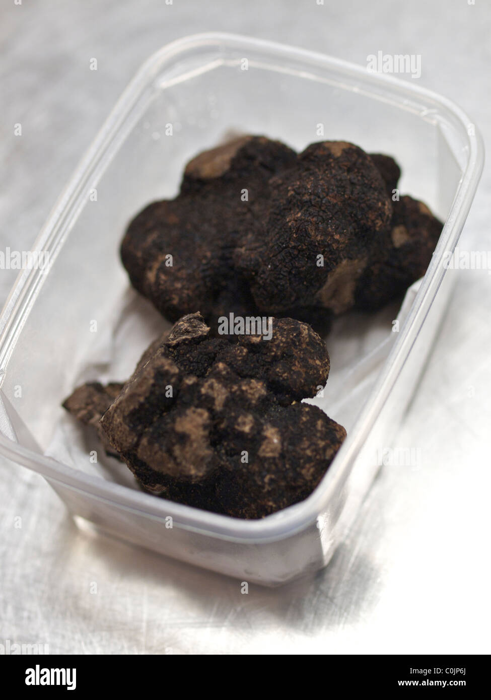Tuber brumale truffes d'hiver Banque D'Images