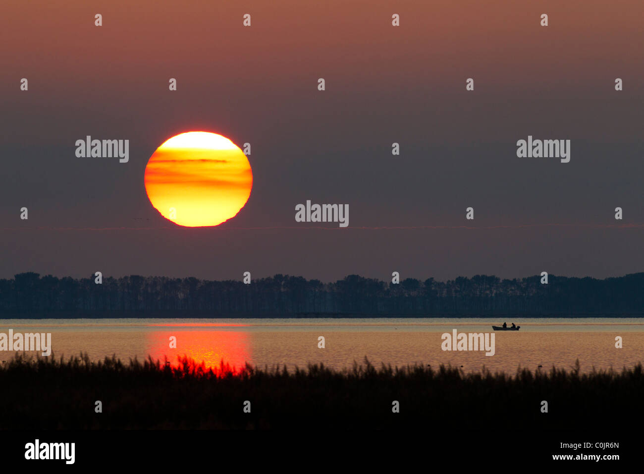Les pêcheurs en bateau à rames sur le lac au coucher du soleil, Bade-Wurtemberg, Allemagne Banque D'Images