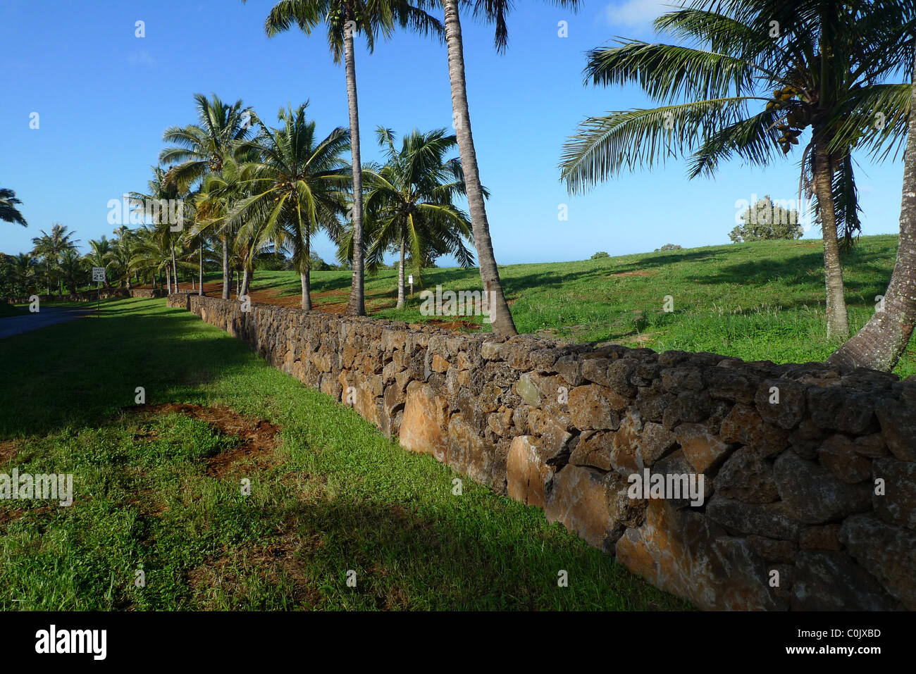 Mur de pierre de lave, Kauai, Hawaii Banque D'Images