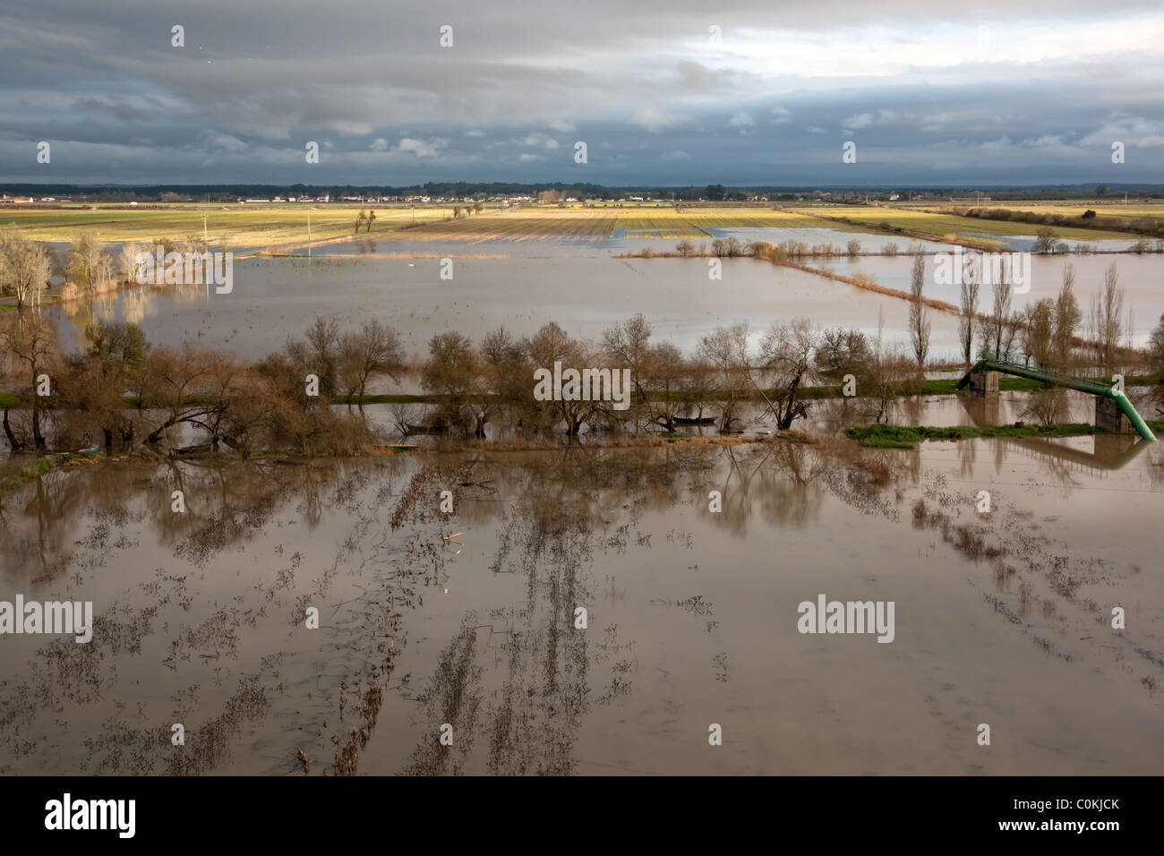 Paysage de champs inondés dans Santárem - Portugal Banque D'Images