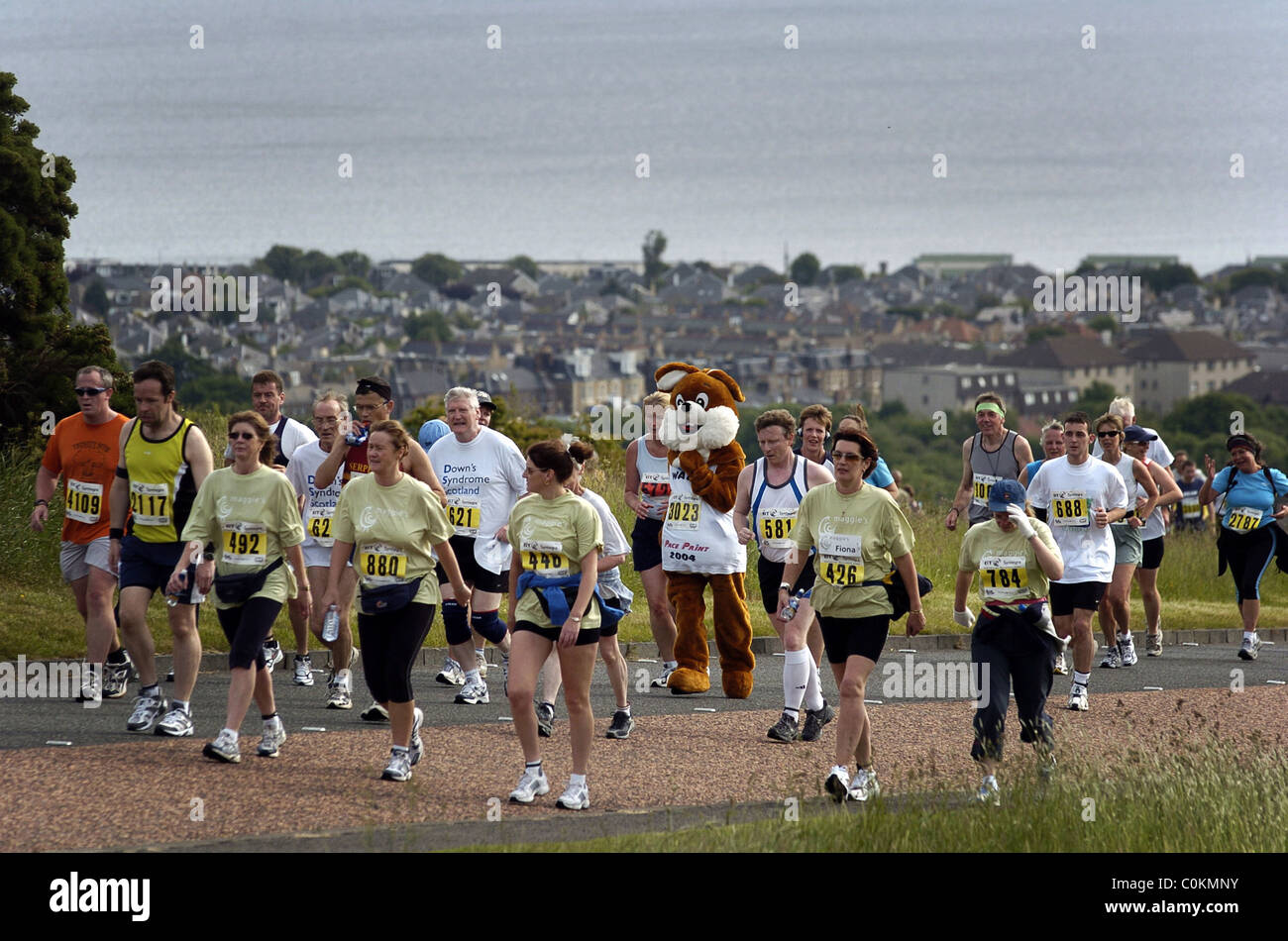 Courir lapin courir Banque de photographies et d’images à haute résolution Alamy