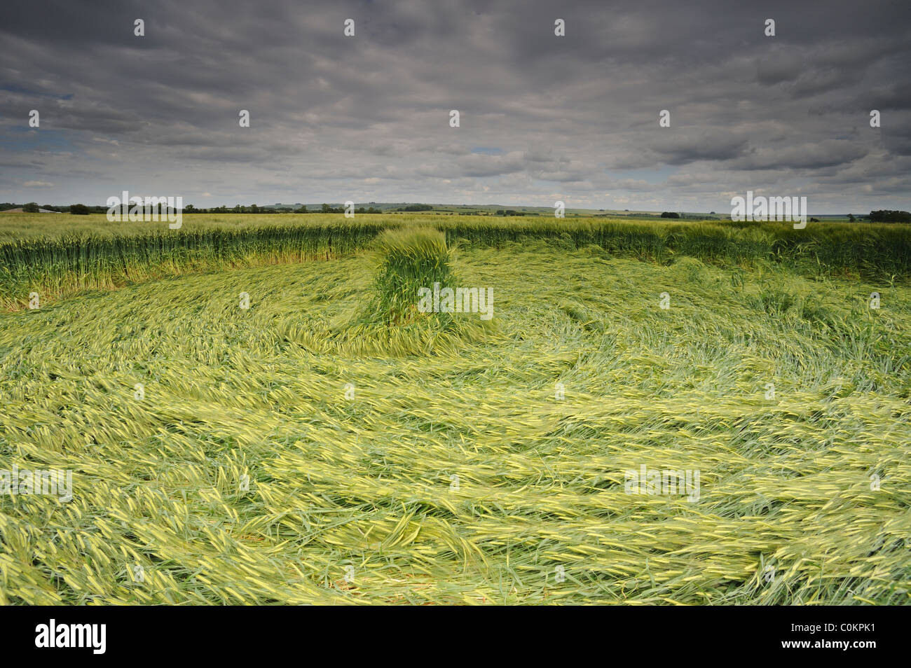 Petit cricle, Wiltshire, Royaume-Uni Banque D'Images